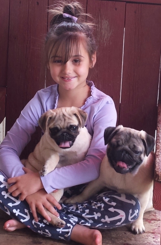 Granddaughter Aaliyah with Bailey and Cali. 2017